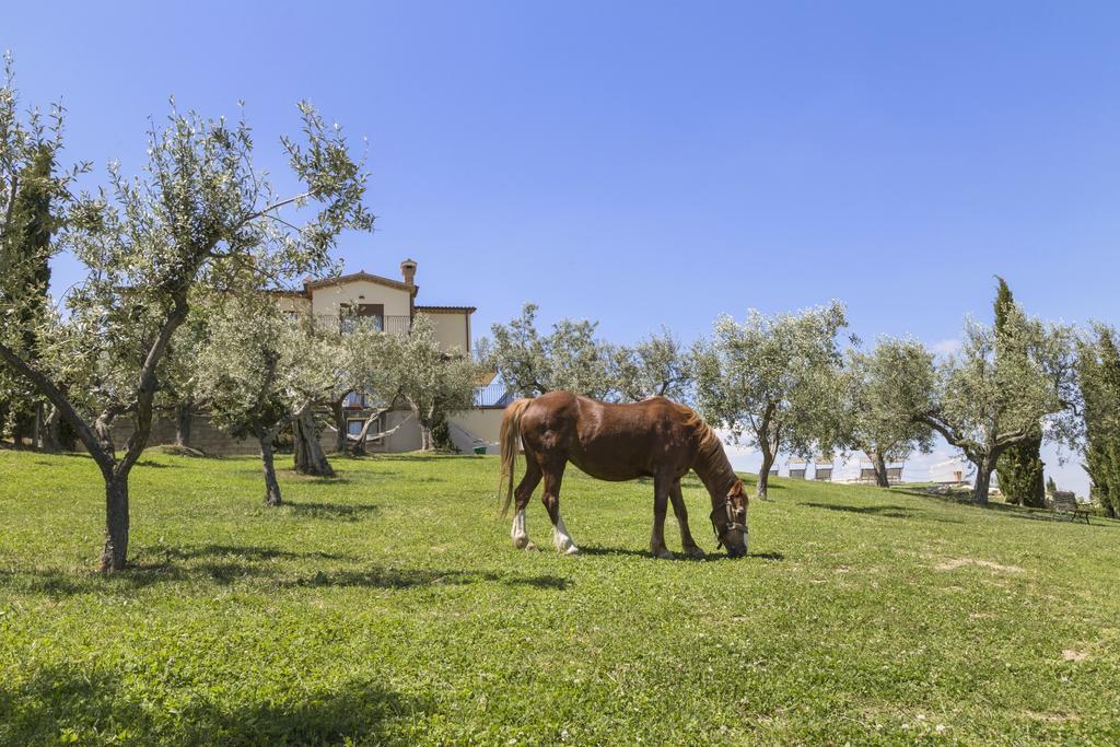 Agriturismo Le Bosche San Marino Zewnętrze zdjęcie