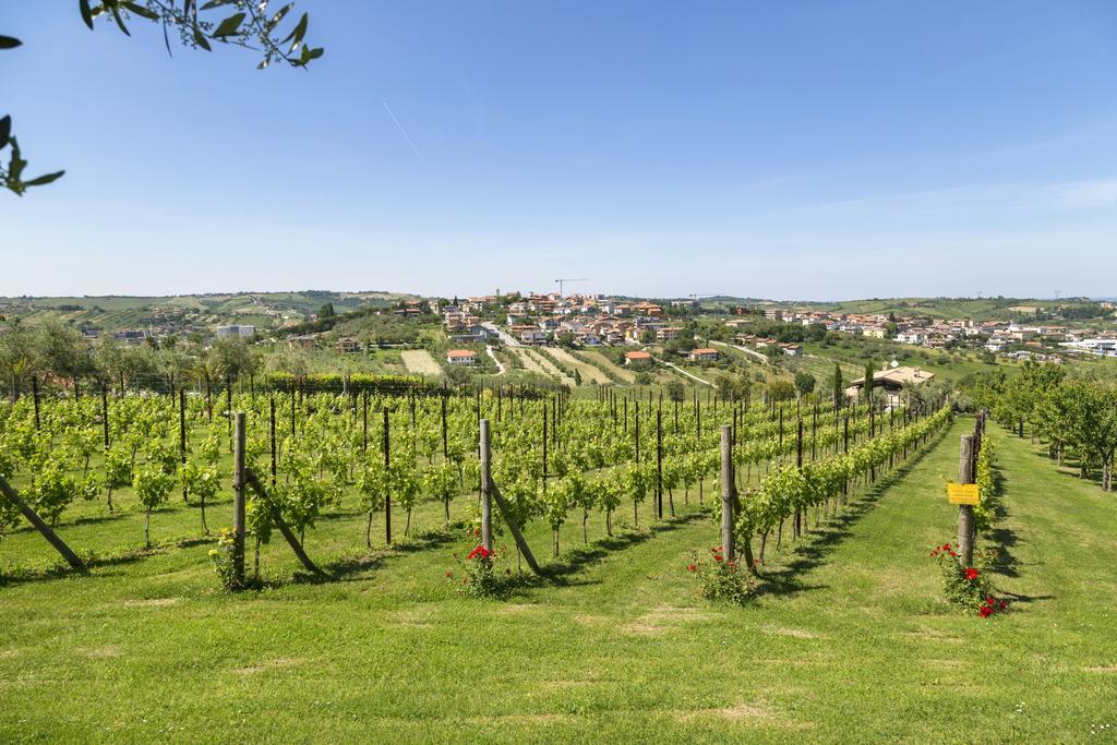 Agriturismo Le Bosche San Marino Zewnętrze zdjęcie