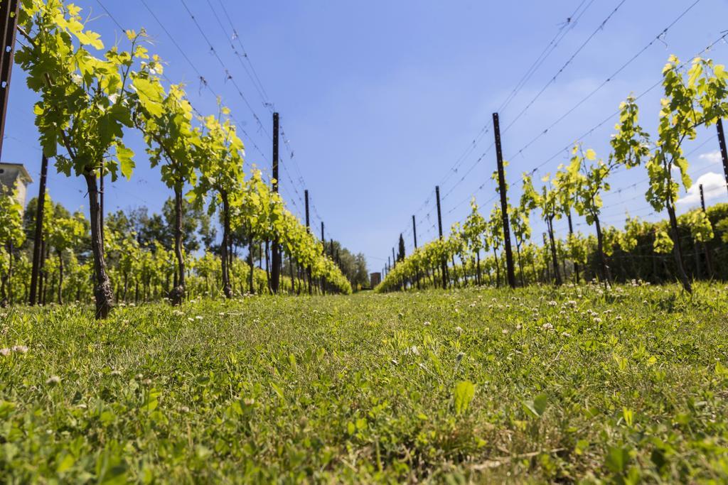Agriturismo Le Bosche San Marino Zewnętrze zdjęcie