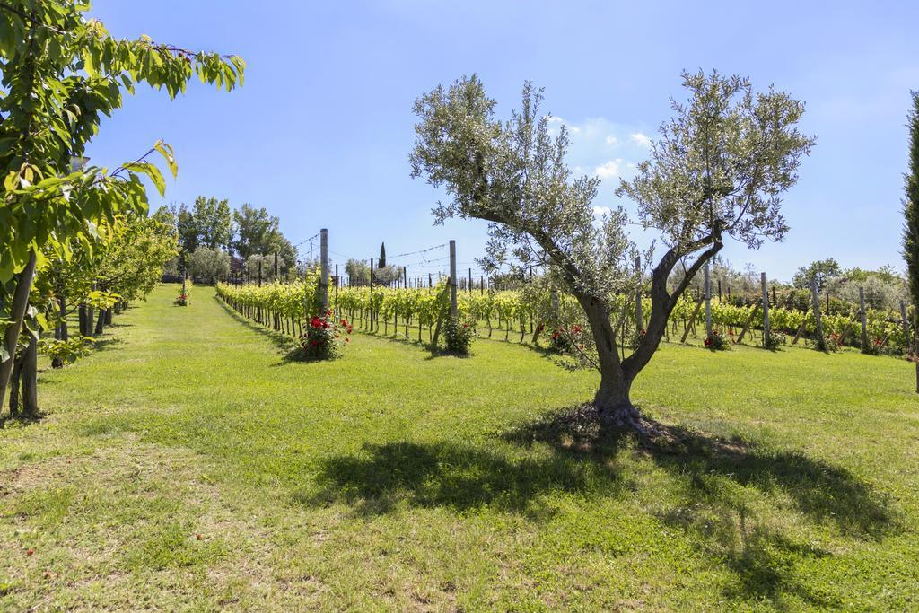 Agriturismo Le Bosche San Marino Zewnętrze zdjęcie